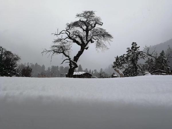 闽ABCFGHJ已开启下雪群聊!厦门:等一个入群资格~
